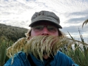 catlins (19)
